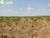 Terreno, 410 hectares - Foto 2