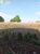 Terreno, 1099 hectares - Foto 4