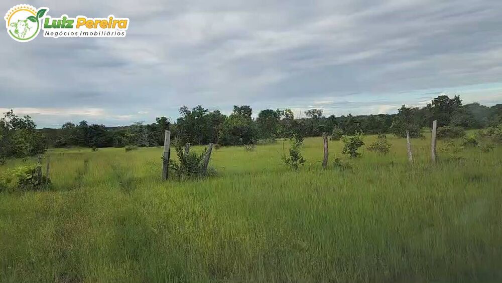 Terreno à venda, 1195m² - Foto 2