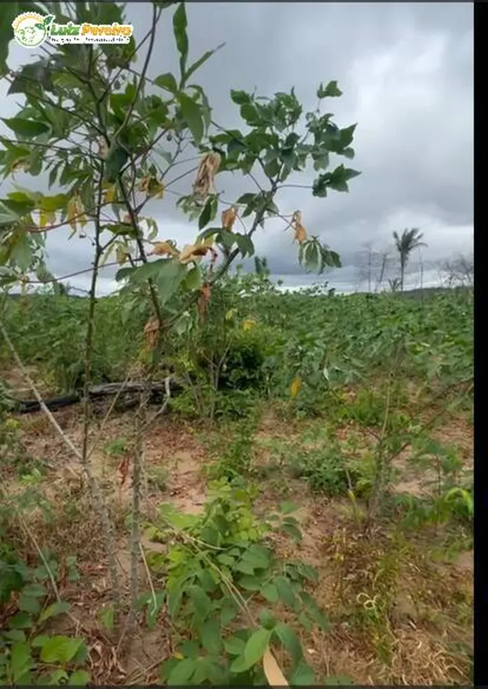 Terreno, 700 m² - Foto 3