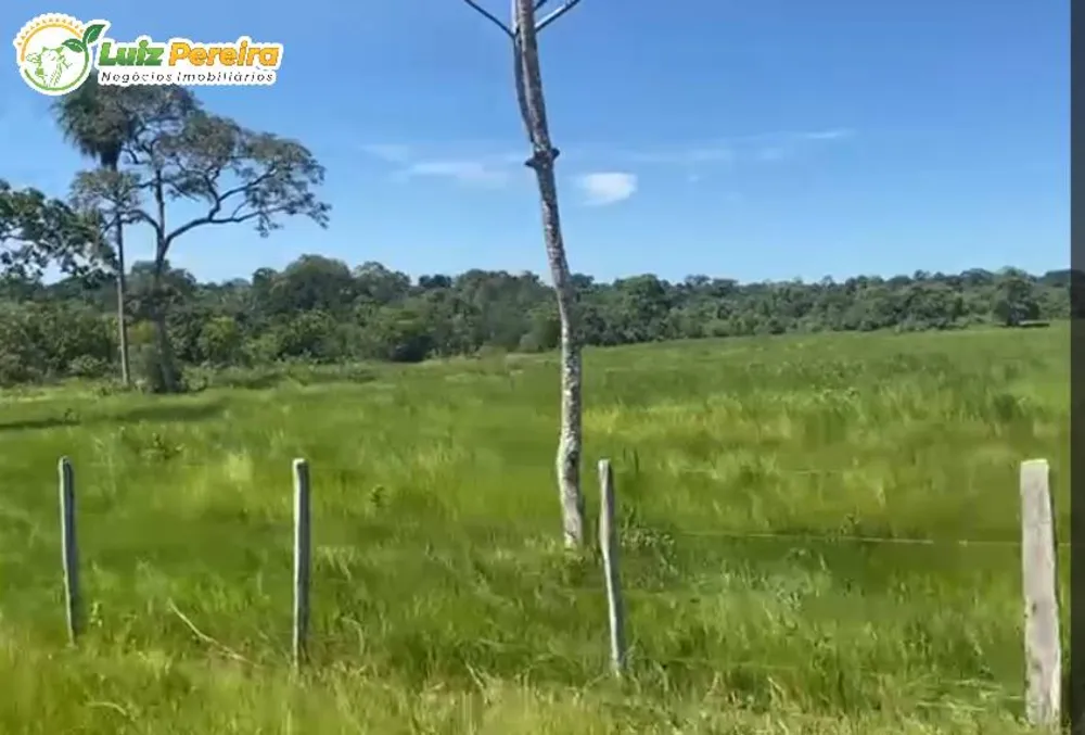 Terreno, 380 hectares - Foto 3