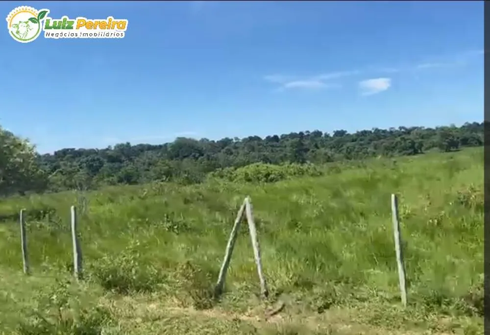 Terreno, 380 hectares - Foto 2