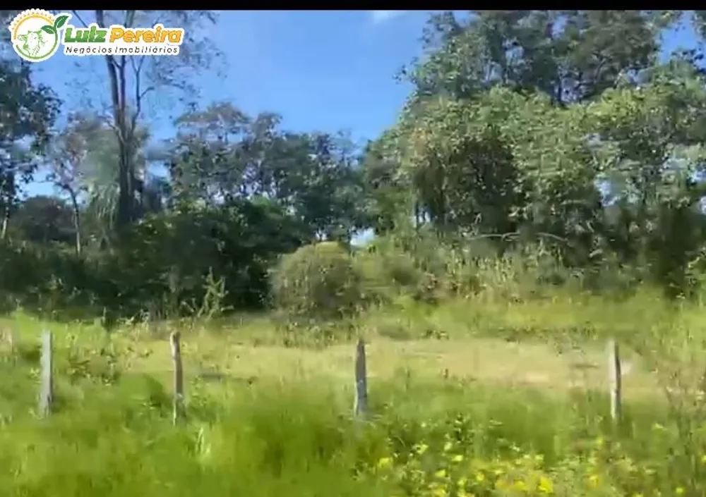 Terreno, 380 hectares - Foto 7