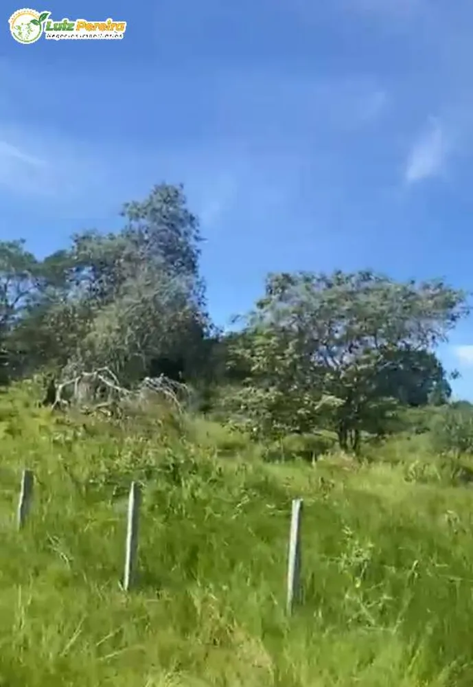Terreno, 380 hectares - Foto 8