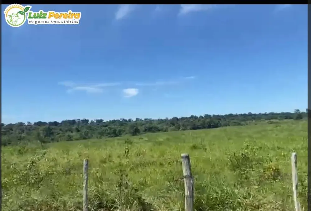 Terreno, 380 hectares - Foto 1
