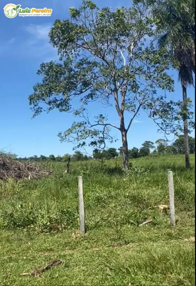 Terreno, 380 hectares - Foto 9