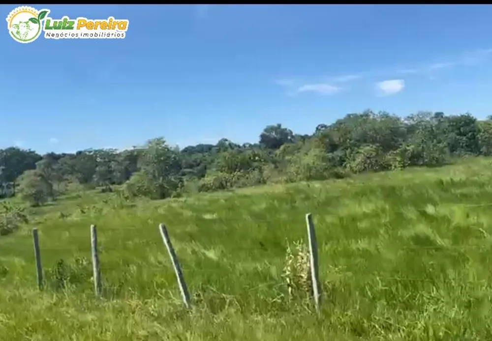 Terreno, 380 hectares - Foto 4