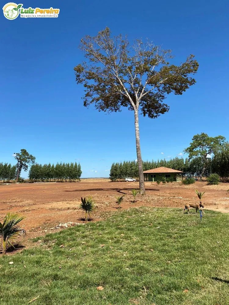 Terreno, 2180 m² - Foto 7