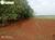 Terreno, 484 hectares - Foto 4