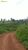 Terreno, 484 hectares - Foto 1