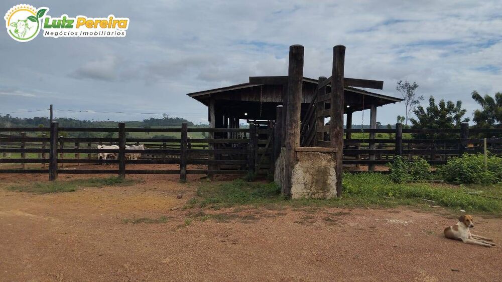 Terreno, 660 m² - Foto 8