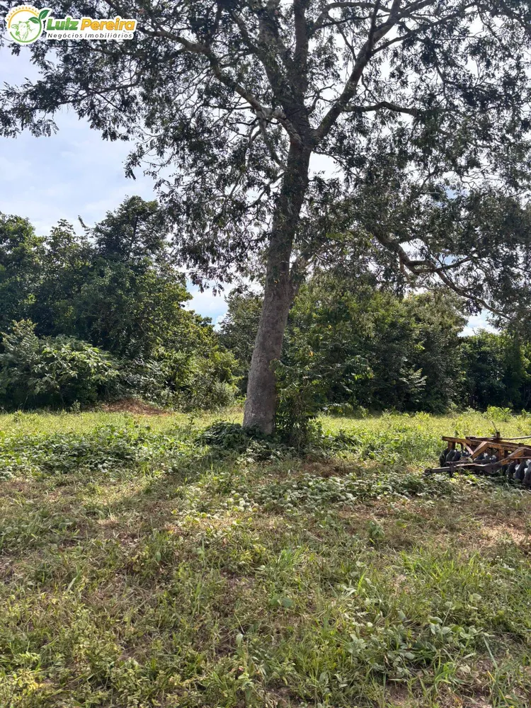 Terreno, 232 m² - Foto 2