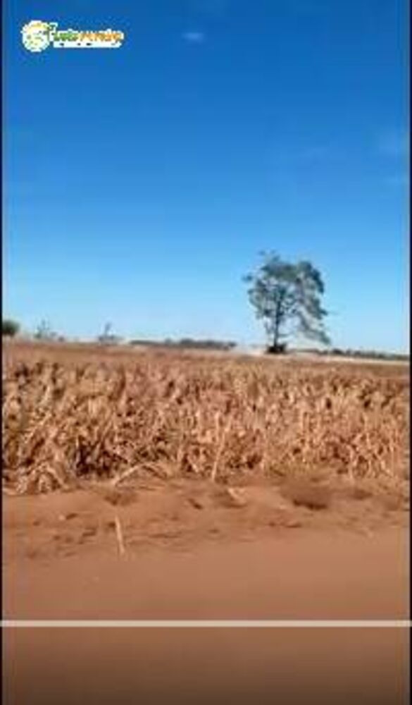 Terreno, 7018 hectares - Foto 3