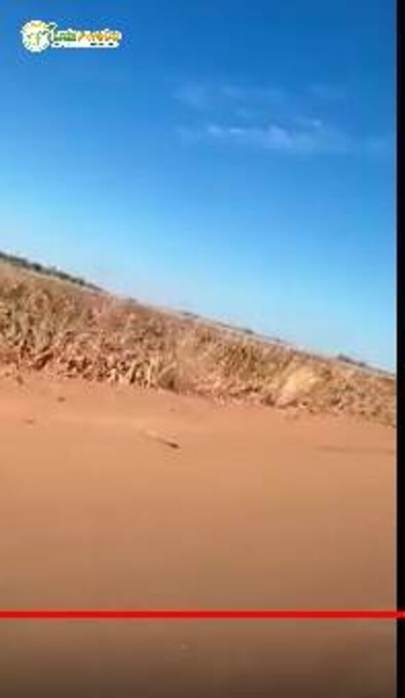 Terreno, 7018 hectares - Foto 4