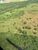 Terreno, 7018 hectares - Foto 2