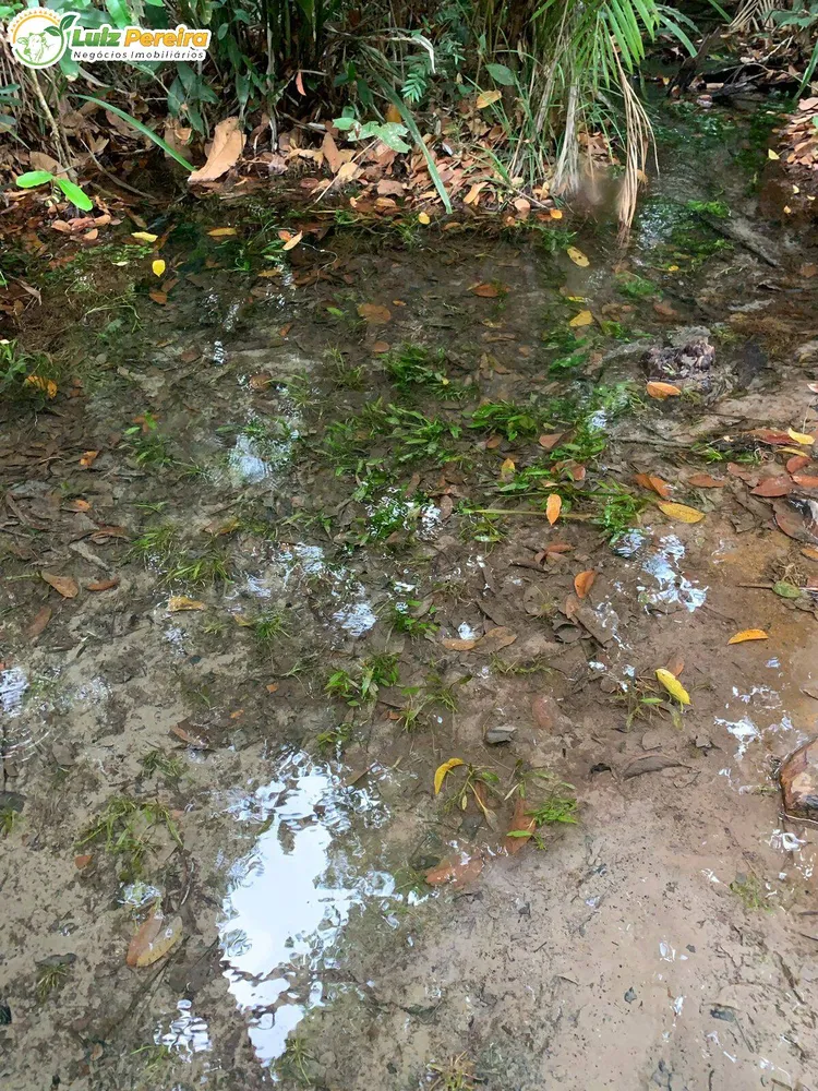 Terreno, 500 m² - Foto 5