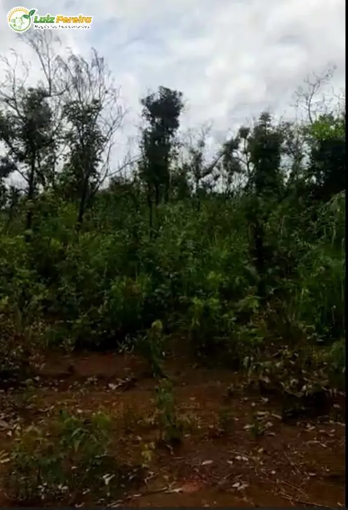 Terreno, 1 hectares - Foto 6