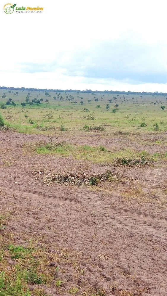 Terreno, 1 hectares - Foto 6
