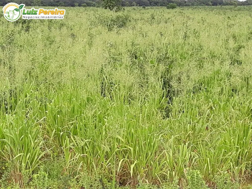Terreno, 1 hectares - Foto 8