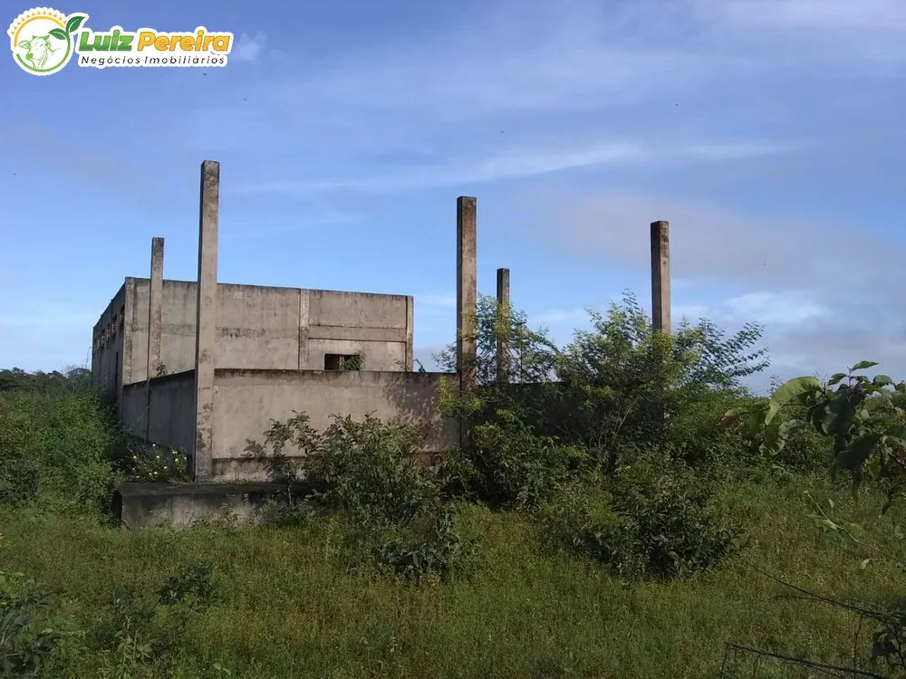 Terreno, 1 hectares - Foto 12