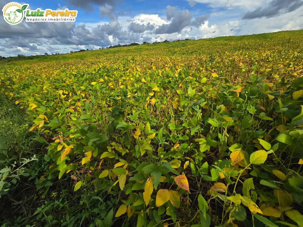 Terreno, 700 m² - Foto 4