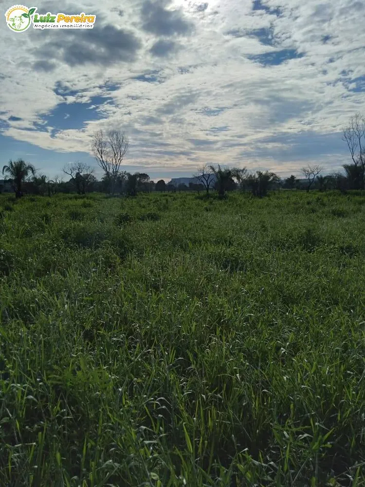 Terreno, 4250 hectares - Foto 8