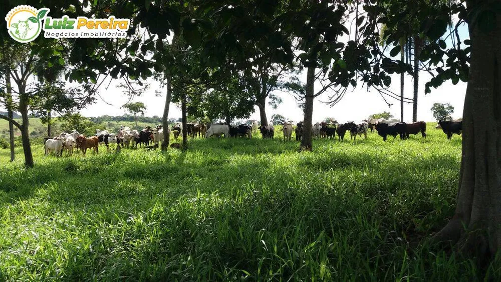 Terreno, 4250 hectares - Foto 9