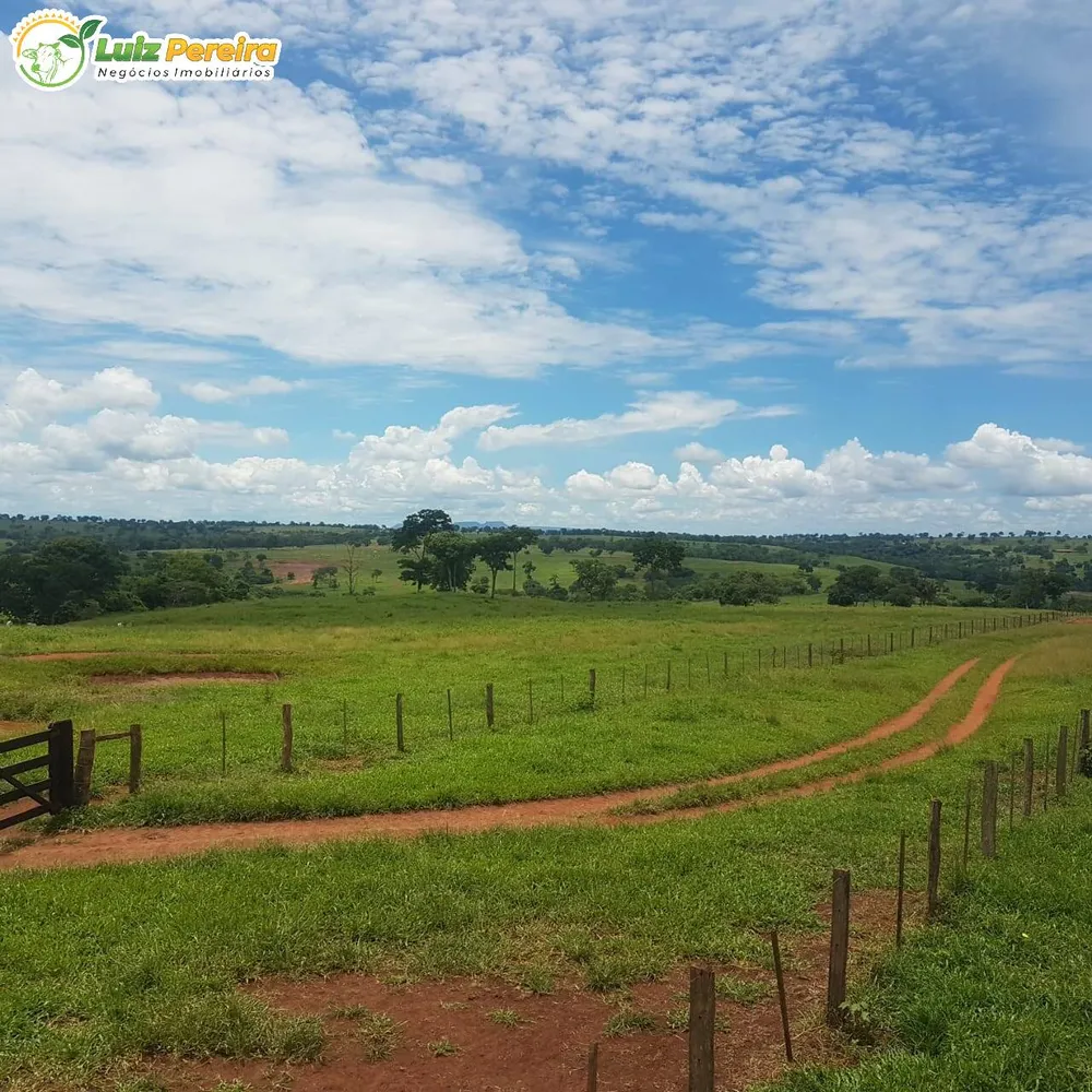 Terreno, 4250 hectares - Foto 11