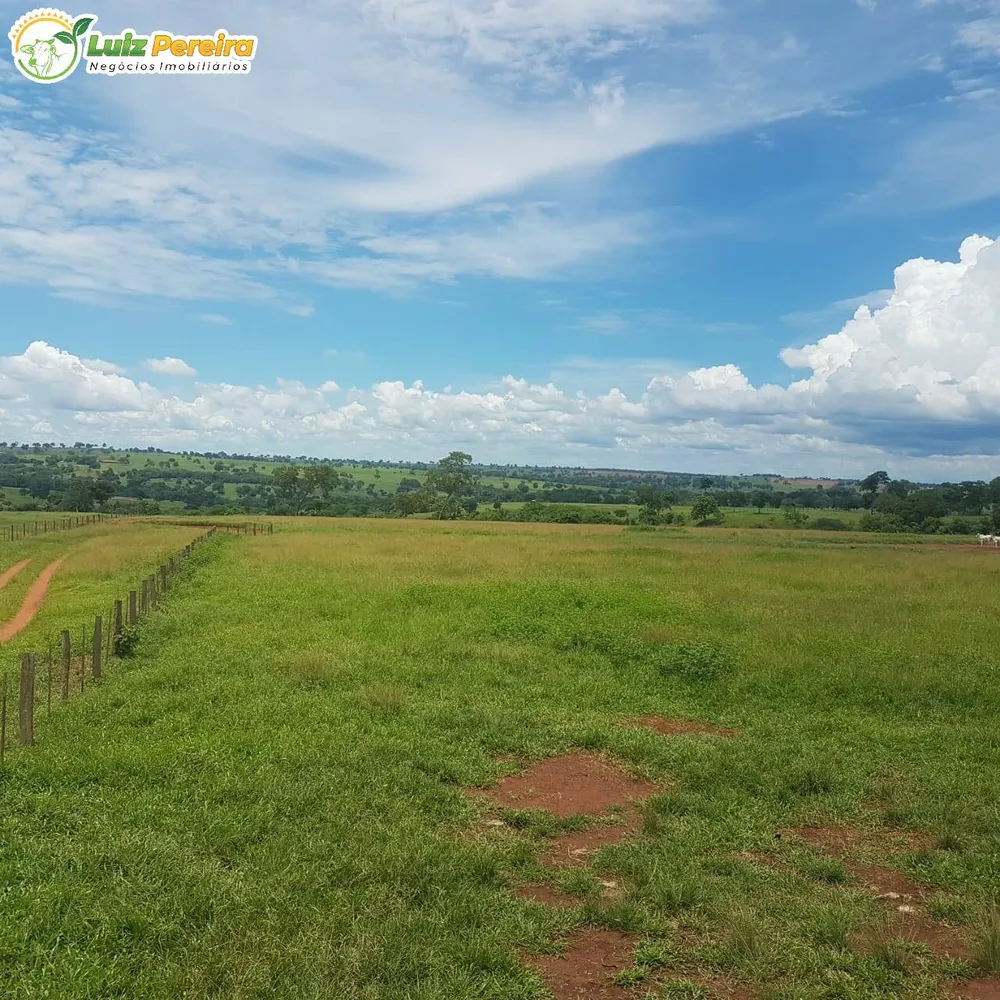 Terreno, 4250 hectares - Foto 12