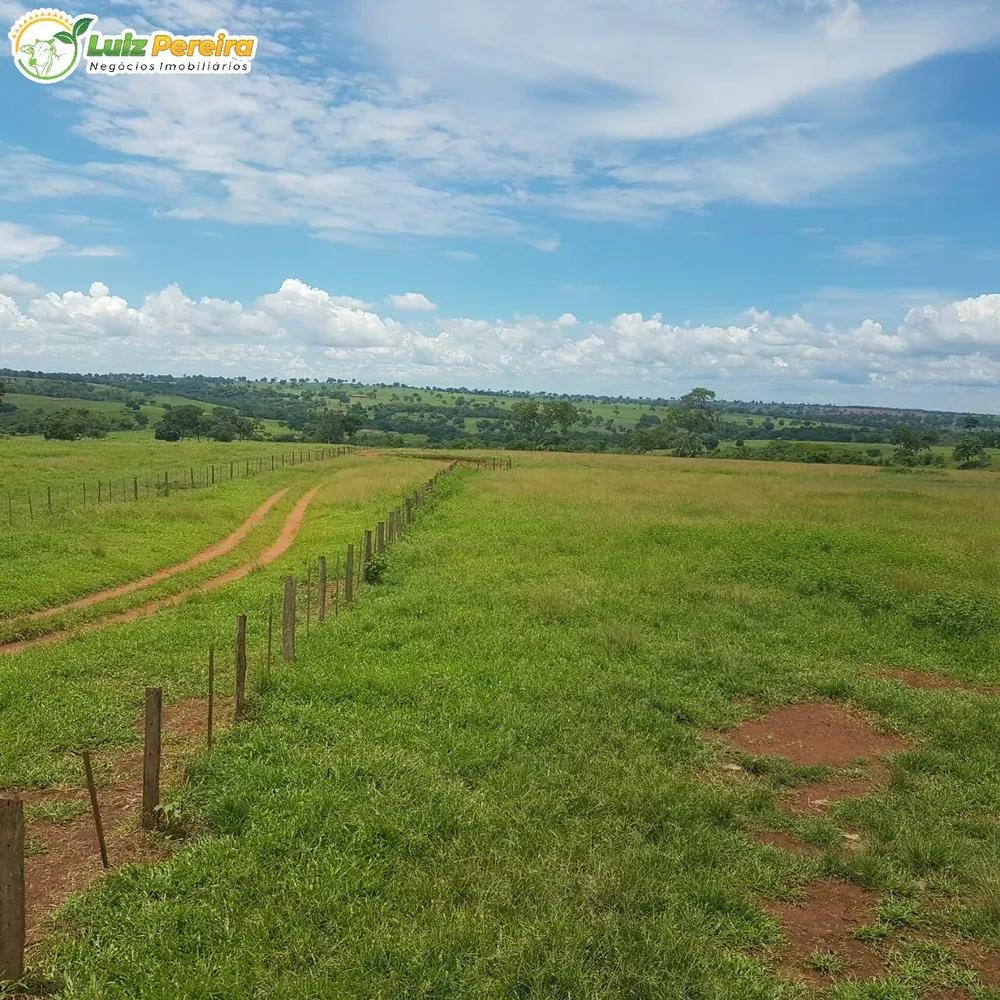 Terreno, 4250 hectares - Foto 10