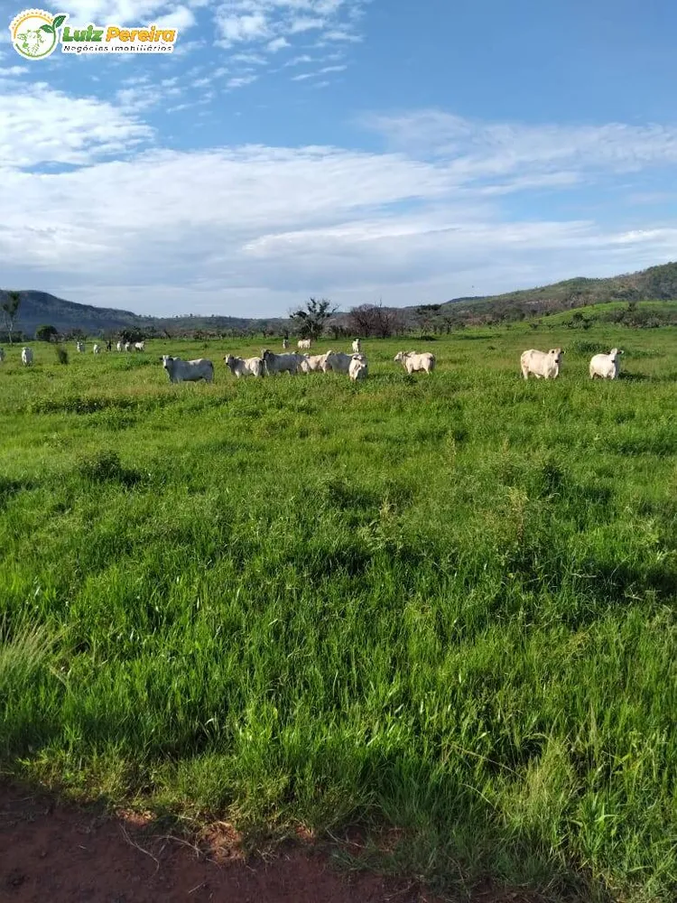 Terreno, 4250 hectares - Foto 2