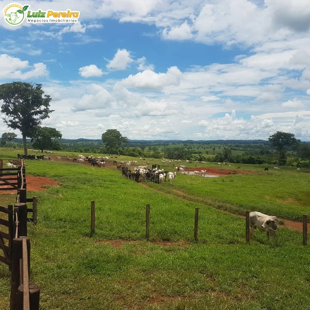 Terreno, 4250 hectares - Foto 1