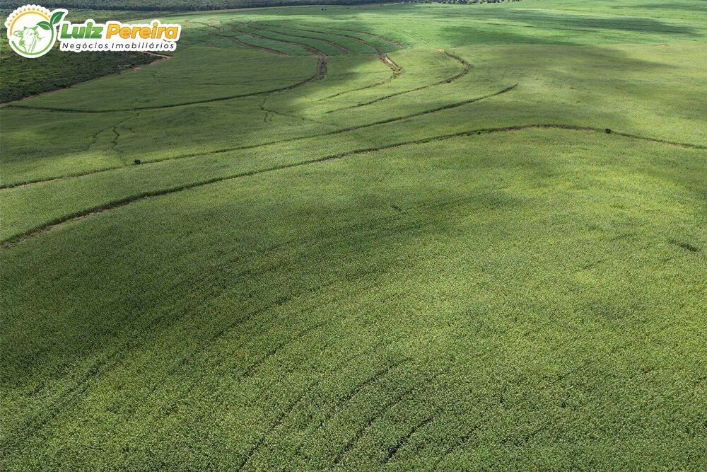 Terreno, 11000 hectares - Foto 3