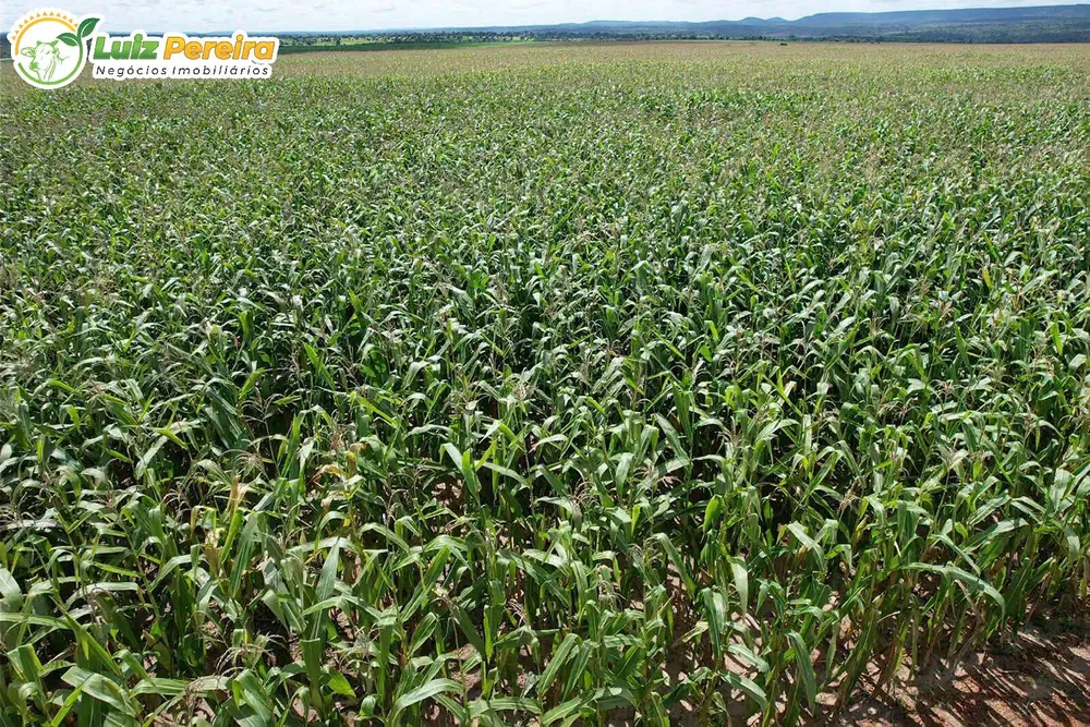 Terreno, 11000 hectares - Foto 1