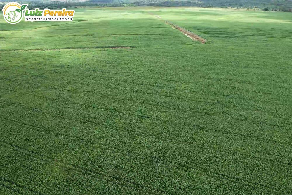 Terreno, 11000 hectares - Foto 2