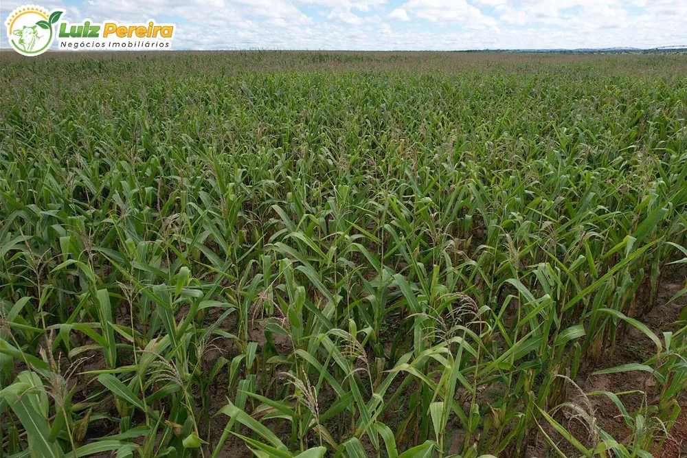 Terreno, 11000 hectares - Foto 3