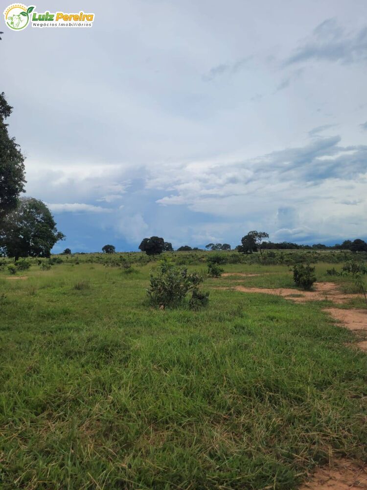 Terreno, 2200 m² - Foto 2