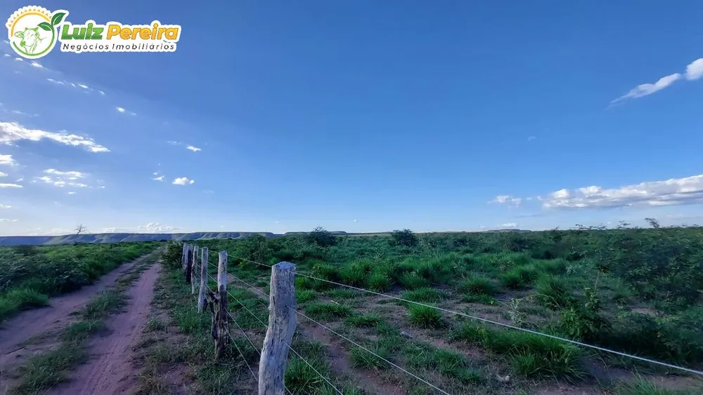 Terreno, 6500 hectares - Foto 6