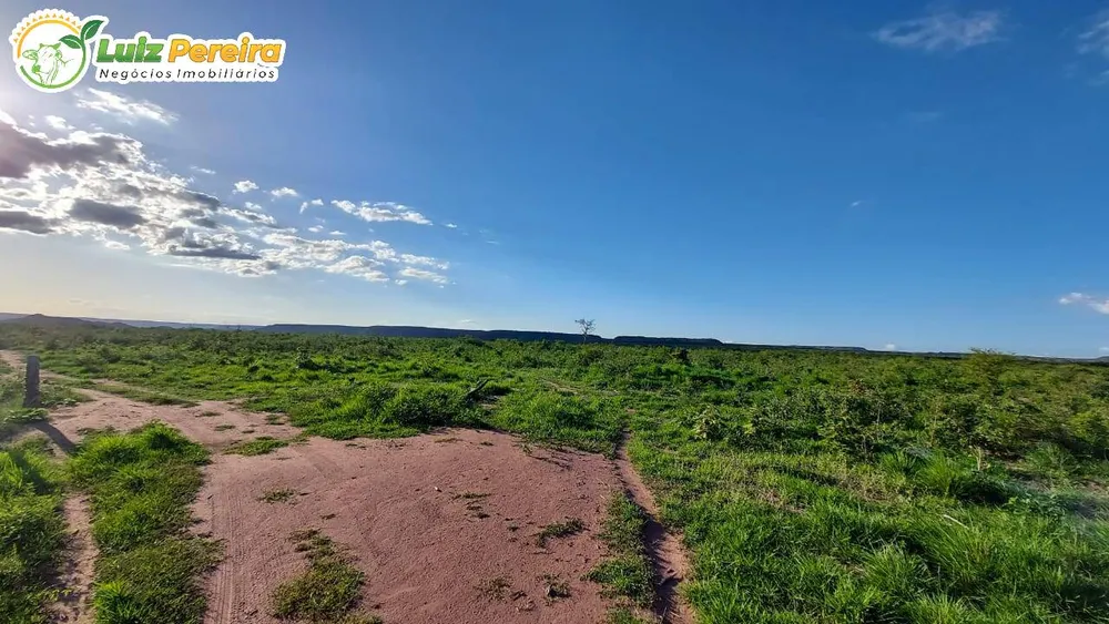 Terreno, 6500 hectares - Foto 11