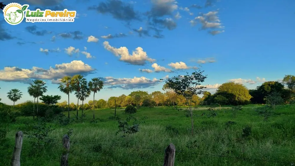 Terreno, 6500 hectares - Foto 8