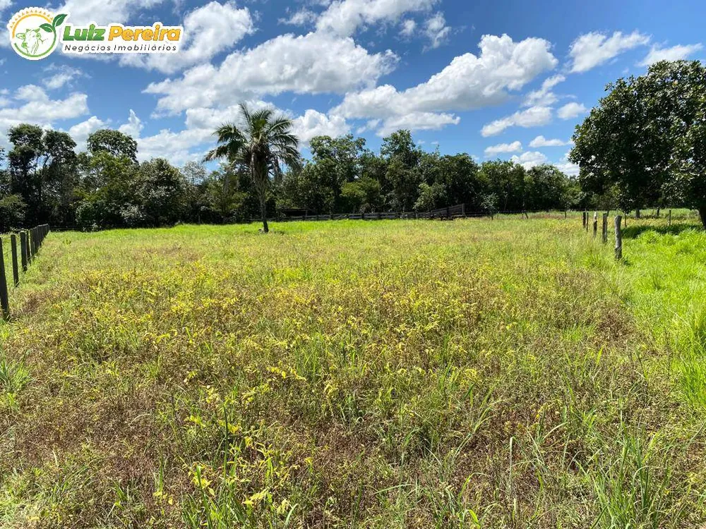 Terreno, 6500 hectares - Foto 2