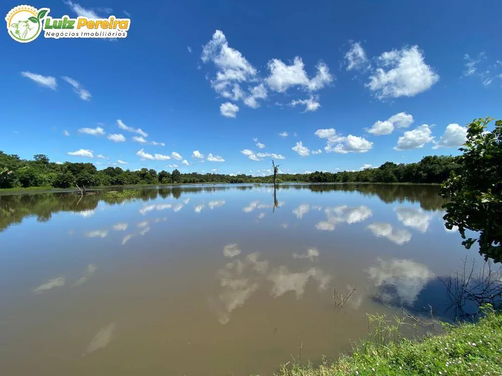 Terreno, 6500 hectares - Foto 4