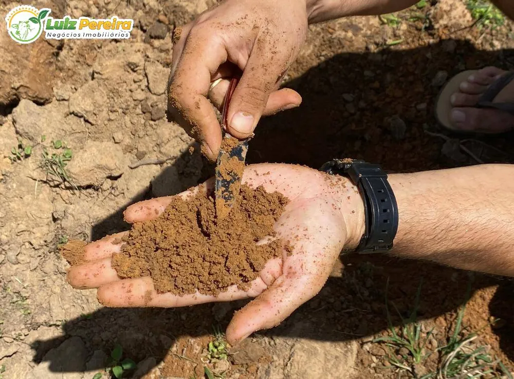 Terreno, 6500 hectares - Foto 12