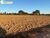 Terreno, 280 m² - Foto 9