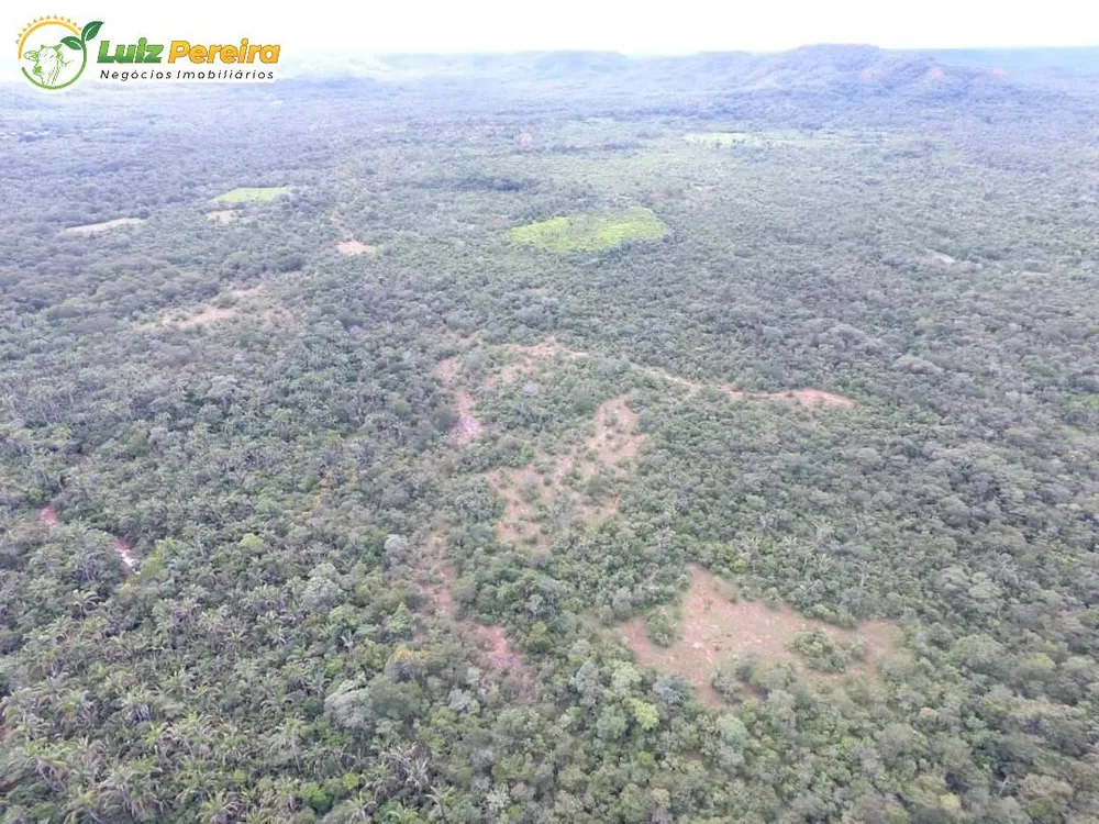 Terreno, 9000 m² - Foto 1