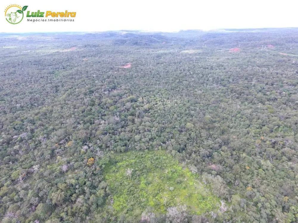 Terreno, 9000 m² - Foto 4