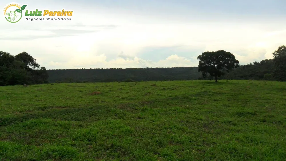 Fazenda, 110 m² - Foto 3