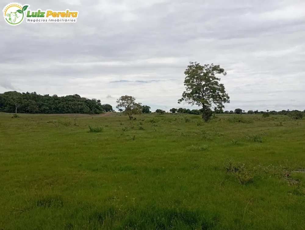Terreno, 2207 m² - Foto 11