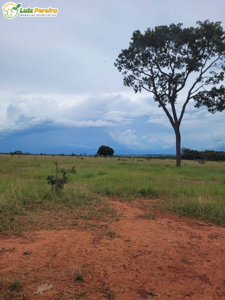 Terreno à venda, 22000000m² - Foto 3