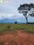 Terreno, 2200 hectares - Foto 3